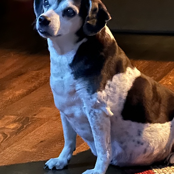 Meet your Posher, Lori - Picture 4 of 10